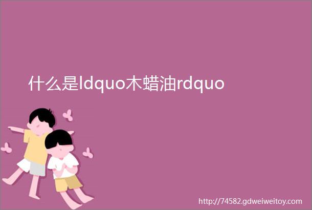 什么是ldquo木蜡油rdquo