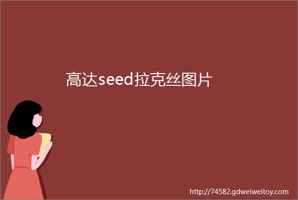 高达seed拉克丝图片